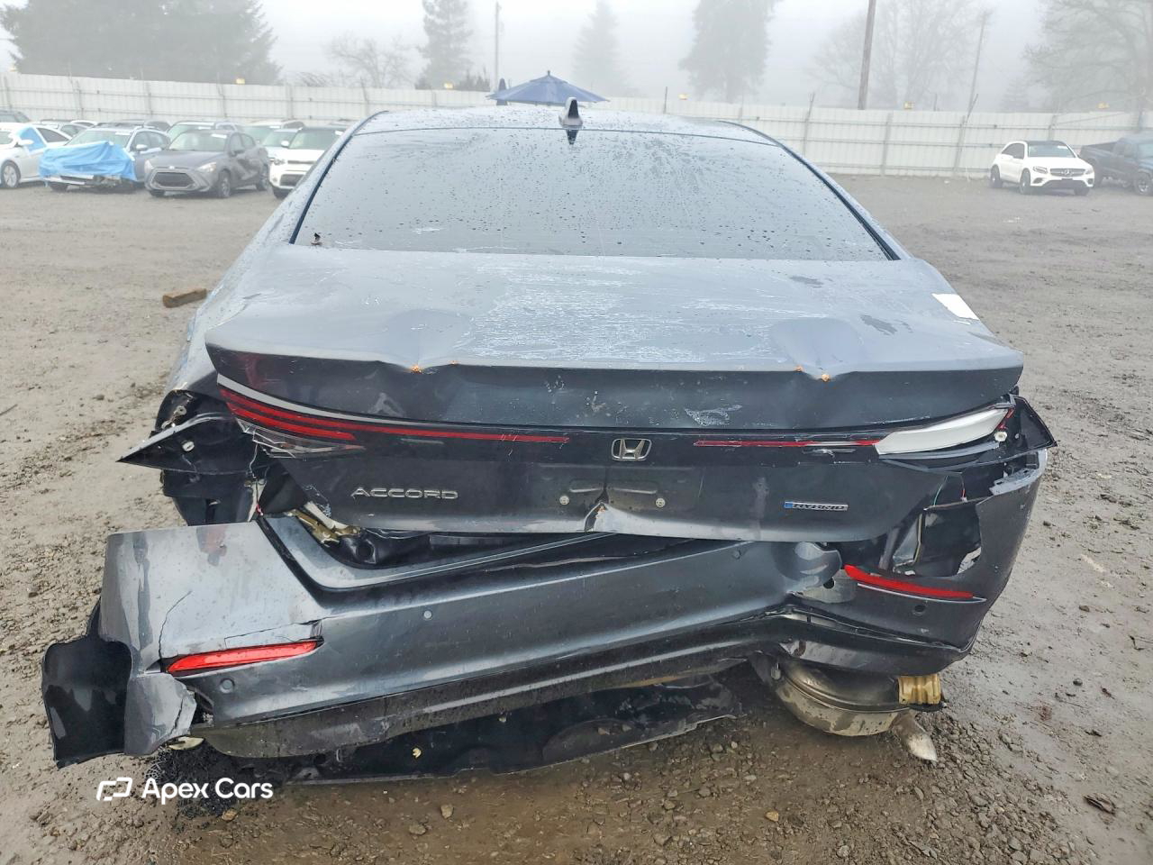 Honda Accord 2025