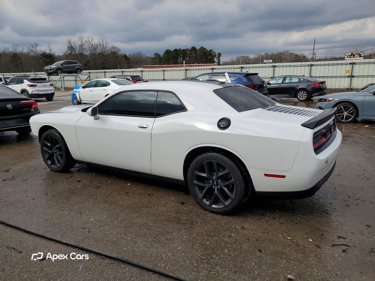 Dodge Challenger 2019