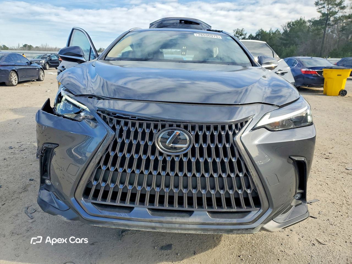 Lexus NX 2024