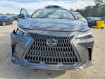 Lexus NX 2024