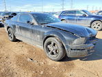 Ford Mustang 2006