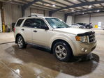 Ford Escape 2010