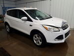 Ford Escape 2014