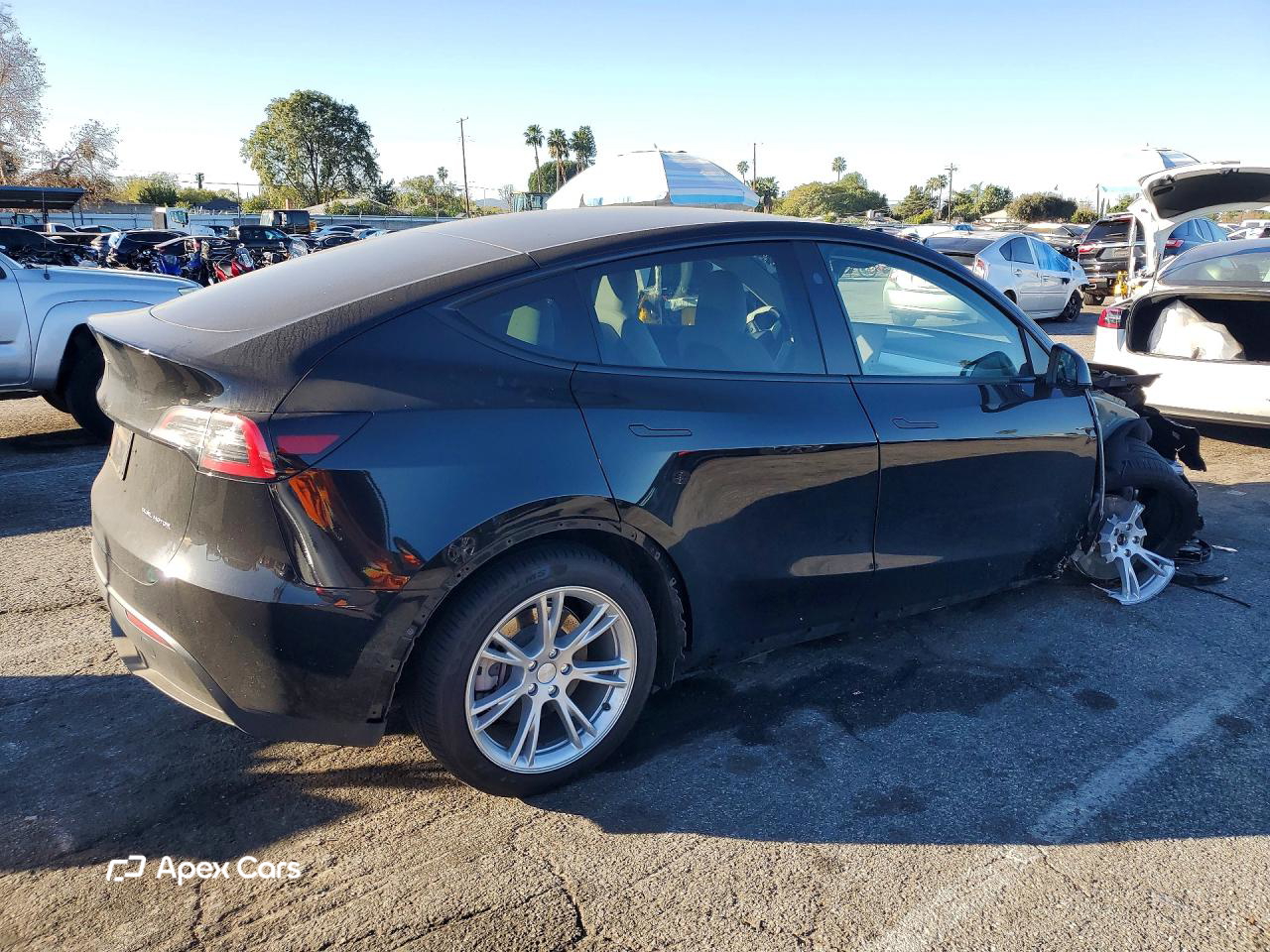 Tesla Model Y 2024