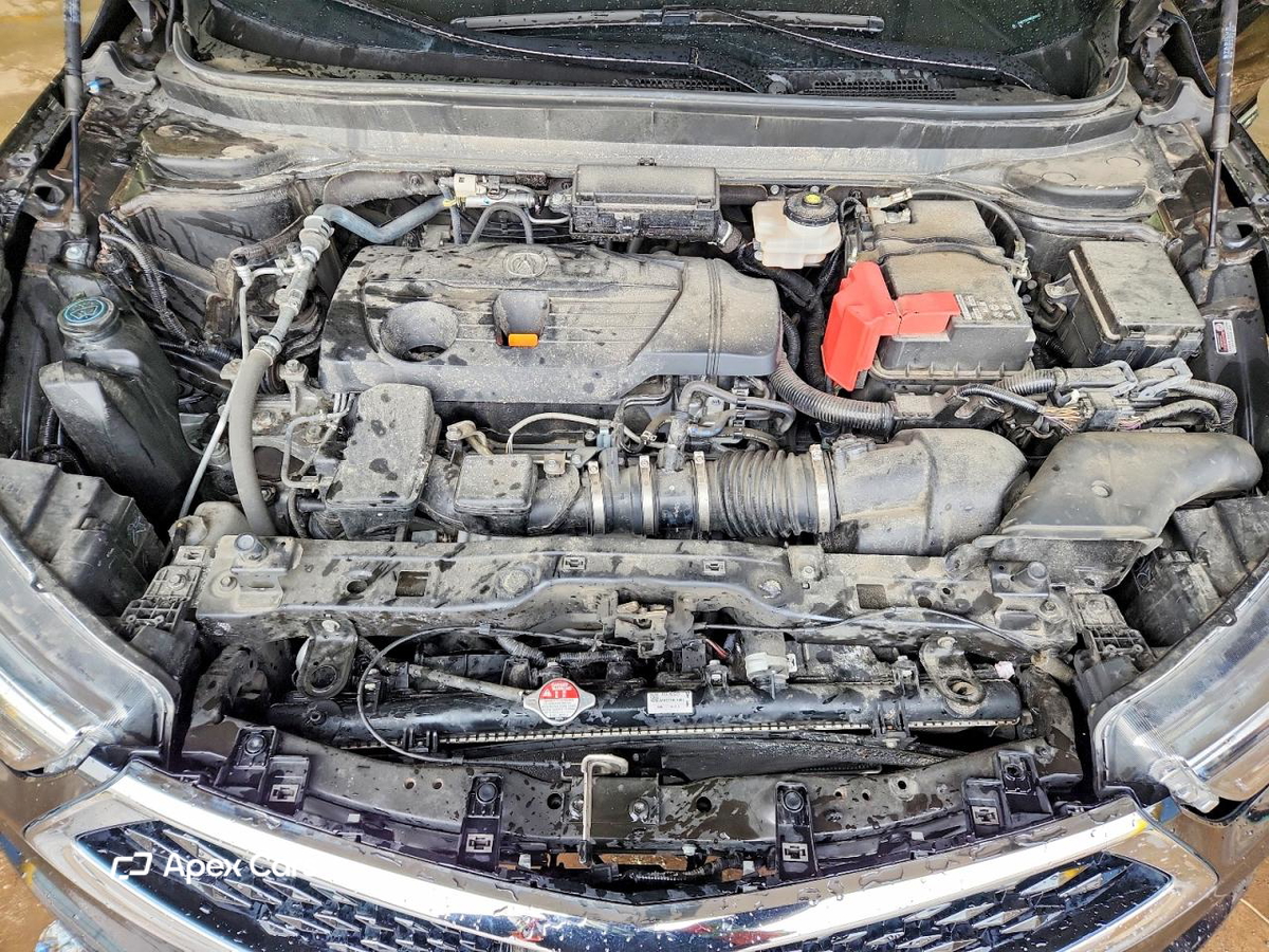 Acura RDX 2019