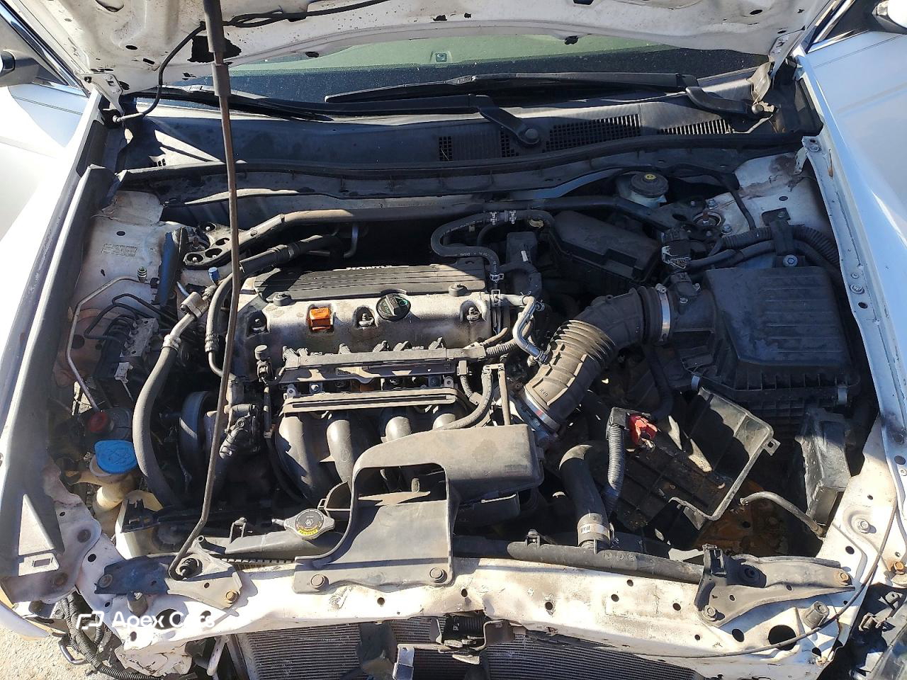 Honda Accord 2010