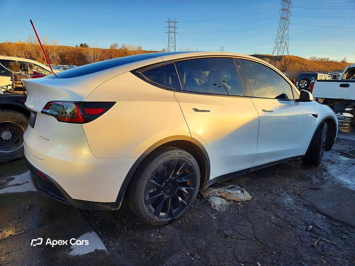 Tesla Model Y 2021