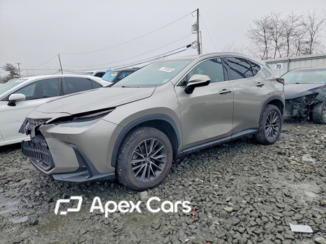 Lexus NX 2022 - Zdjęcie 1 z 13