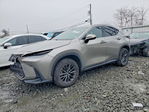 Lexus NX 2022