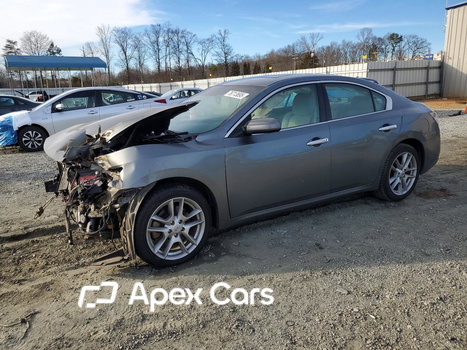 Nissan Maxima 2014 - Image 1 of 13