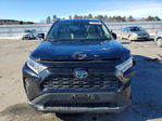 Toyota RAV 4 2021