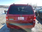 Ford Escape 2010
