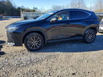 Lexus NX 2024