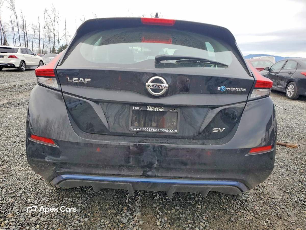 Nissan Leaf 2019