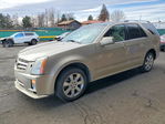 Cadillac SRX 2009
