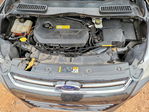 Ford Escape 2013