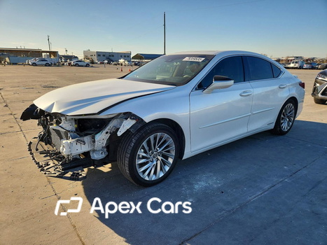 Lexus ES 2022 - Image 1 of 13