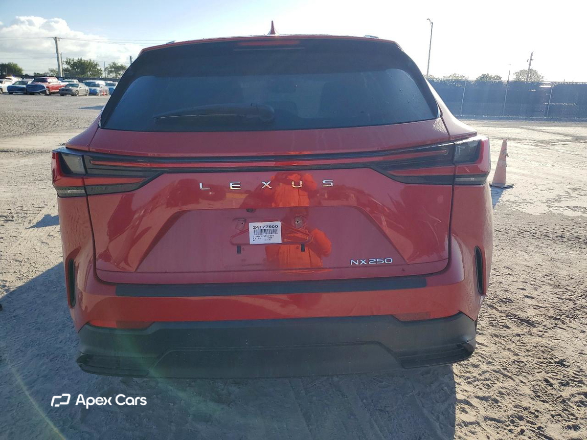 Lexus NX 2024