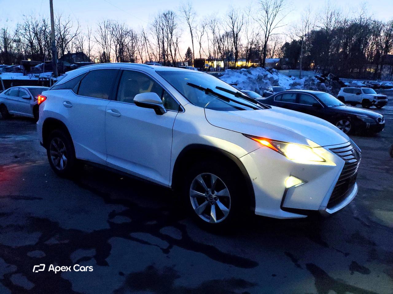 Lexus RX 2019
