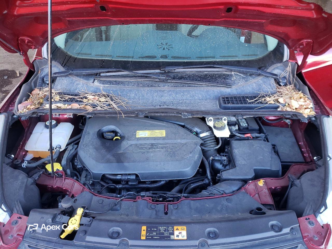 Ford Escape 2013