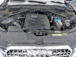 Audi Q5 2013