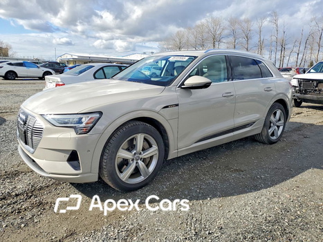 Audi e-tron 2019 - Zdjęcie 1 z 14