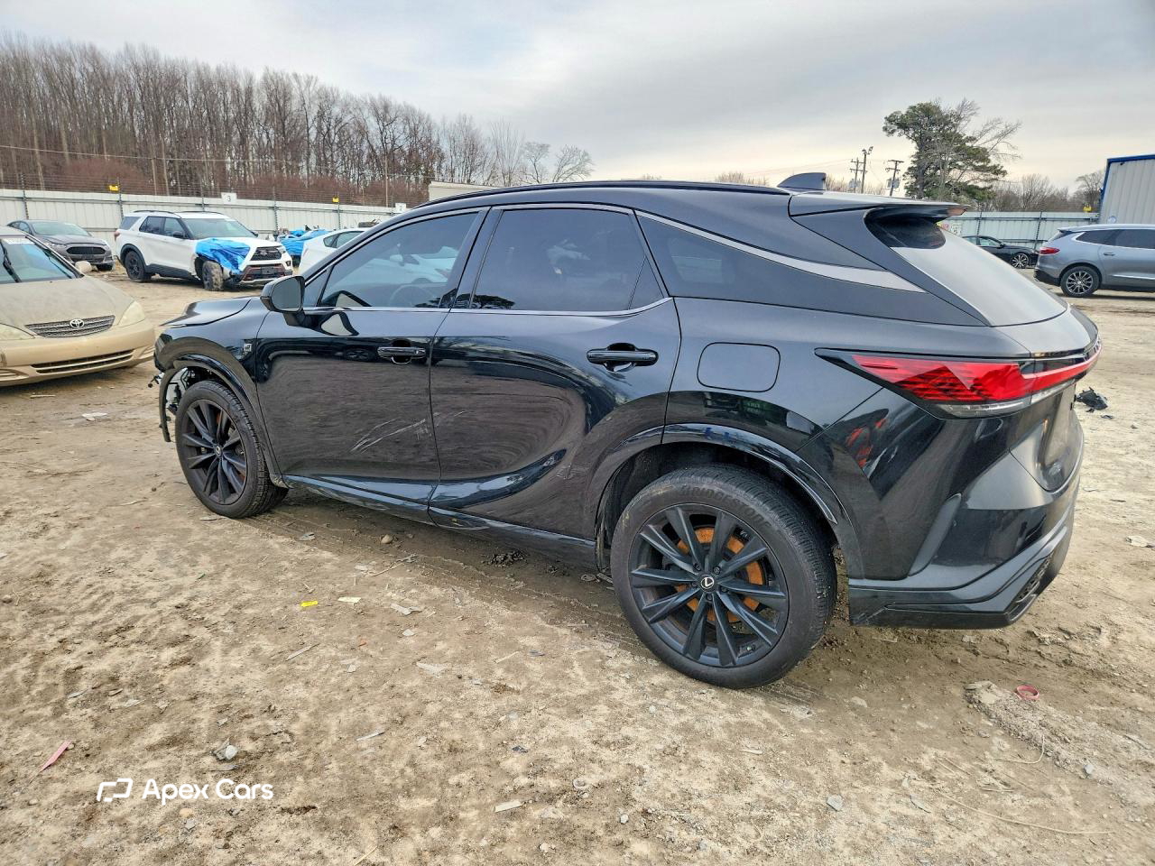 Lexus RX 2024