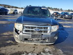 Ford Escape 2010