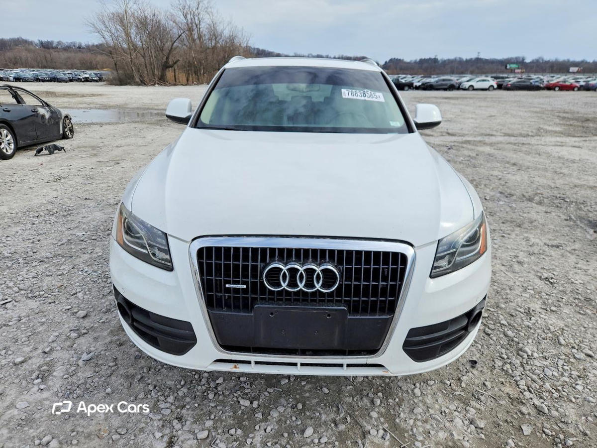 Audi Q5 2010