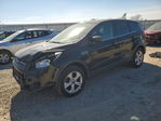 Ford Escape 2016