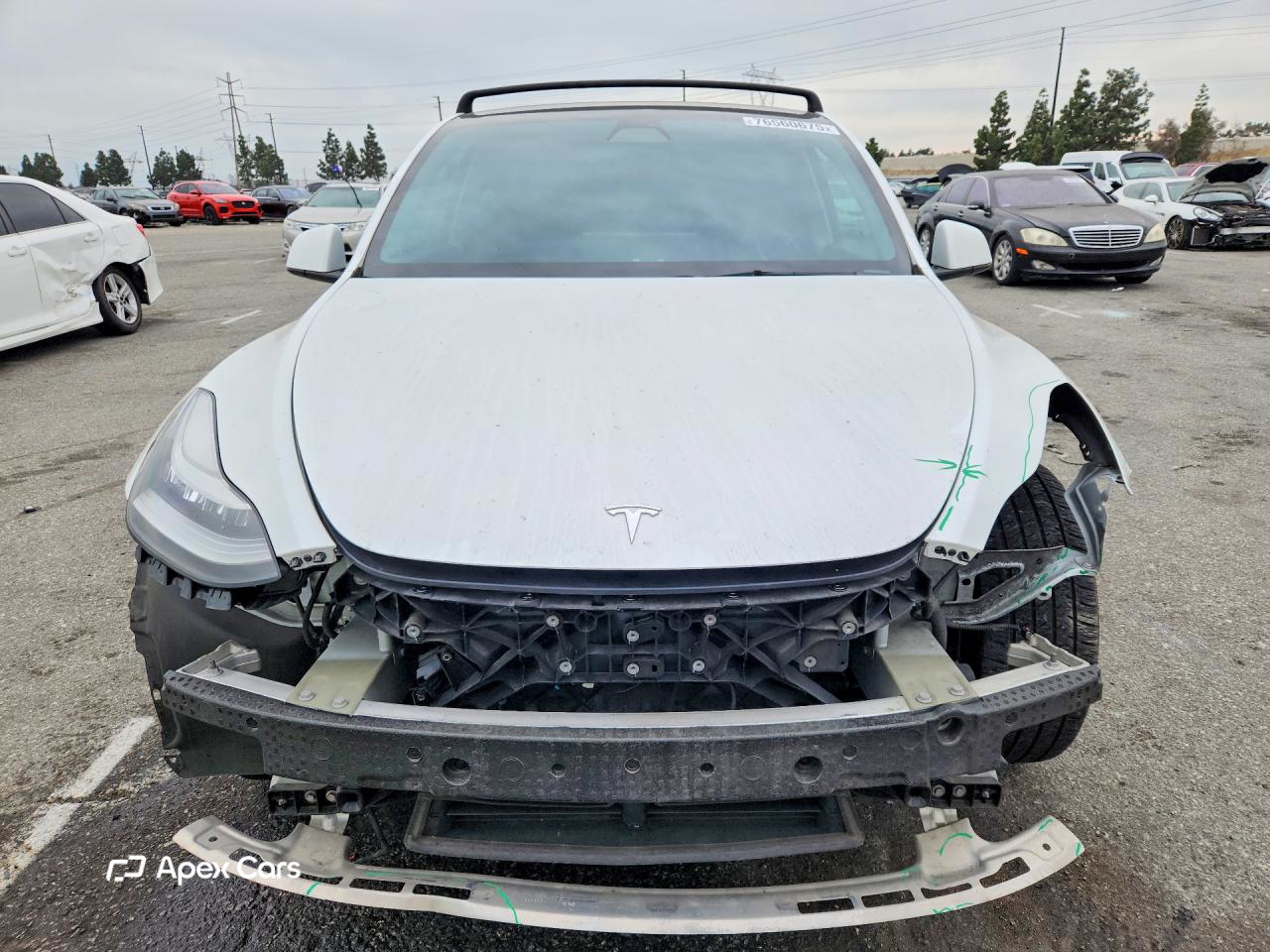 Tesla Model Y 2021
