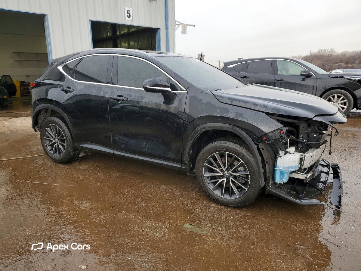 Lexus NX 2024