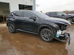 Lexus NX 2024
