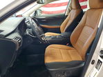 Lexus NX 2020