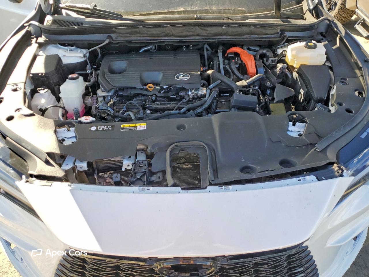 Lexus RX 2023