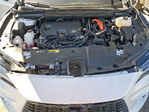 Lexus RX 2023