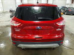 Ford Escape 2014