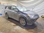Toyota RAV 4 2017