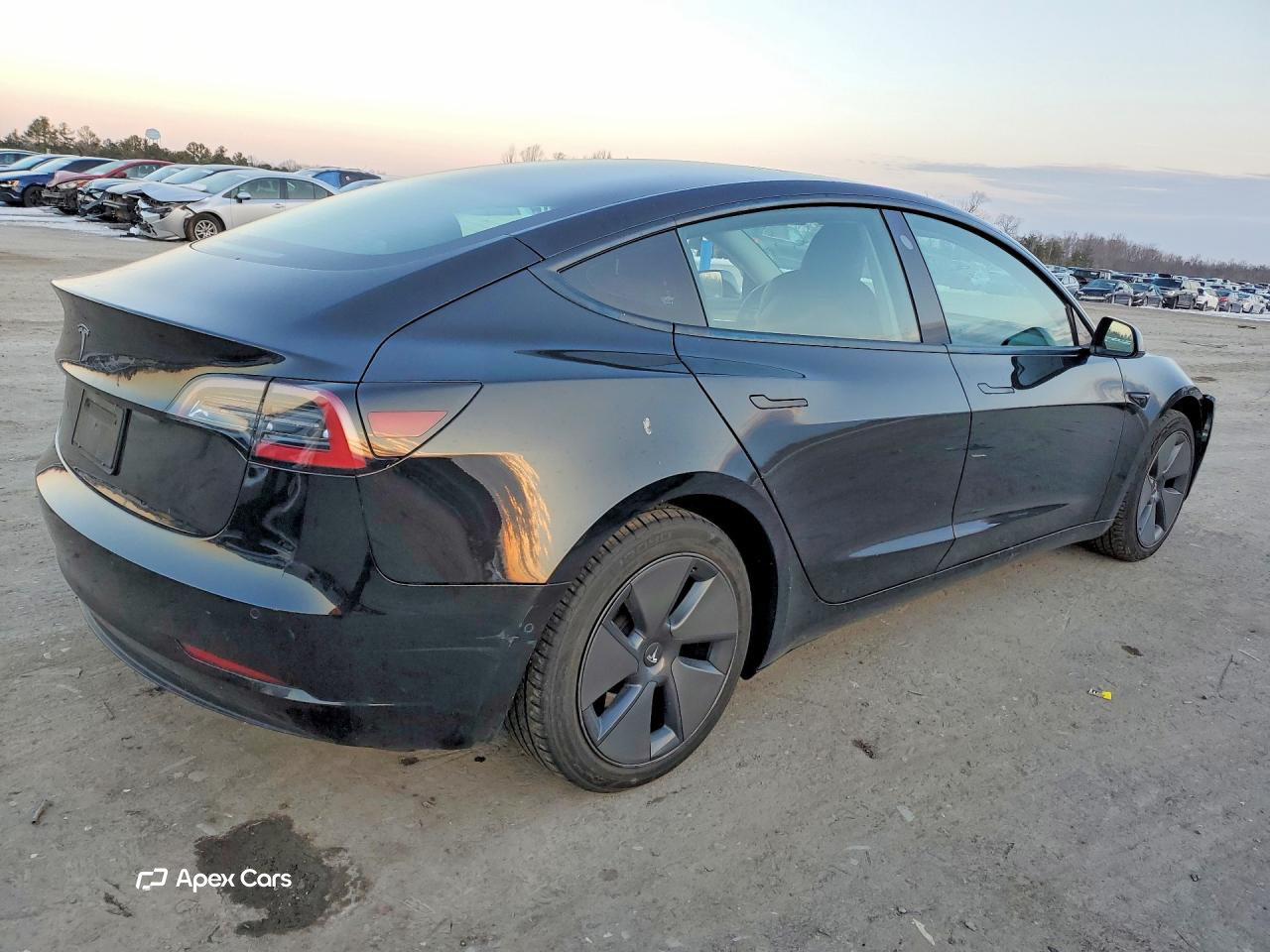 Tesla Model 3 2021