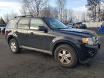Ford Escape 2012