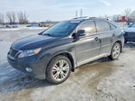 Lexus RX 2012