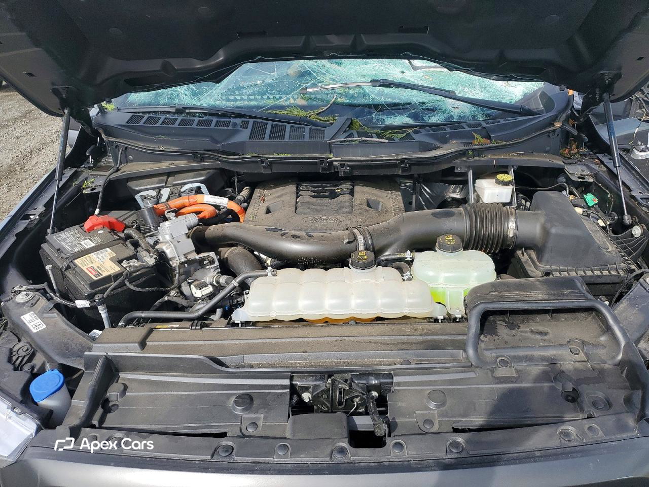 Ford F-150 2023