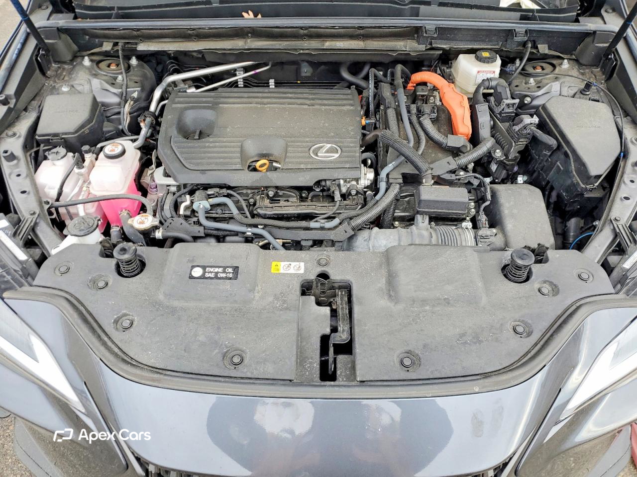 Lexus NX 2024