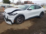 Ford Mustang 2021