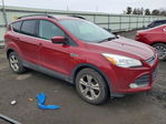Ford Escape 2016