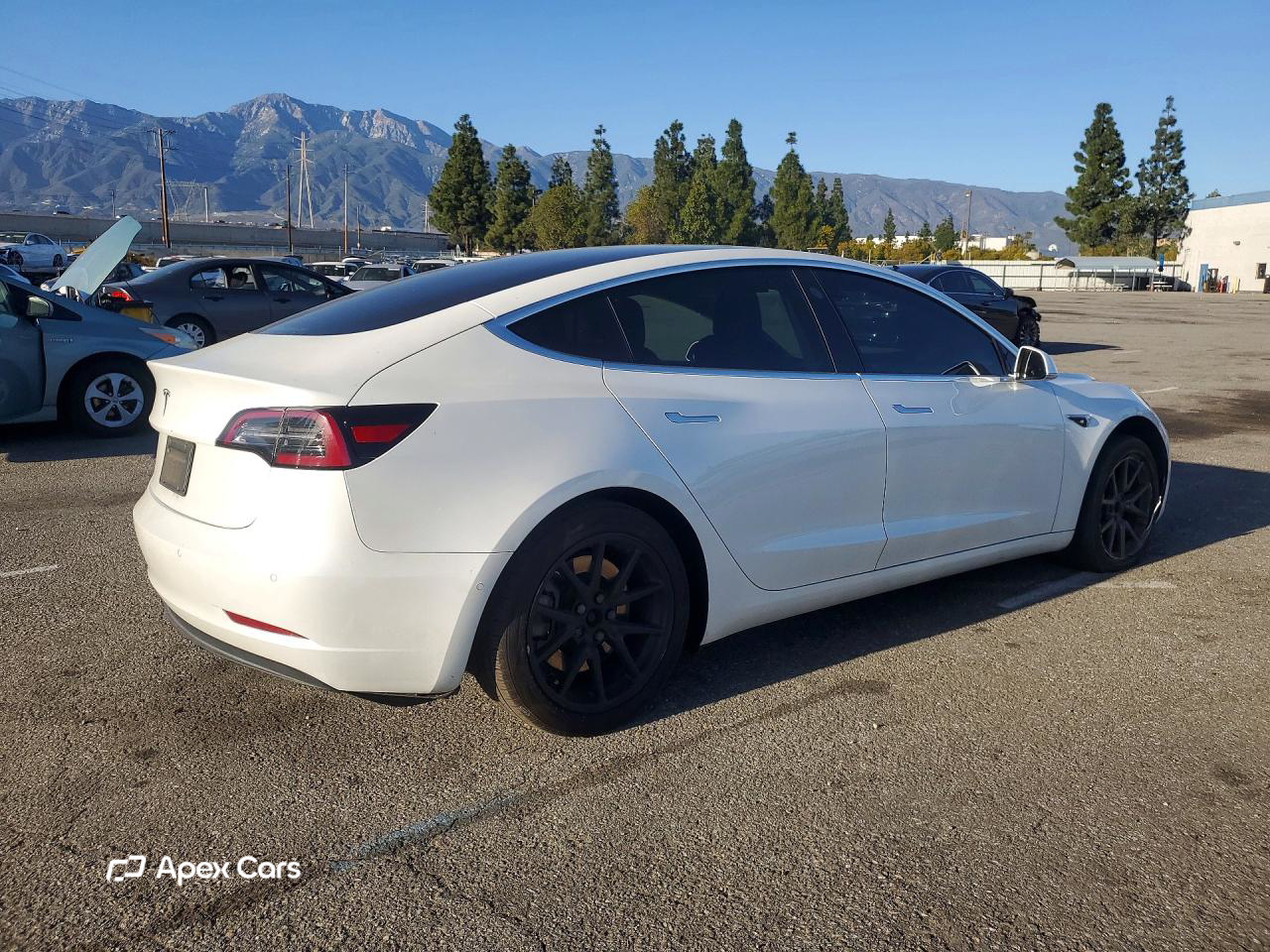 Tesla Model 3 2020