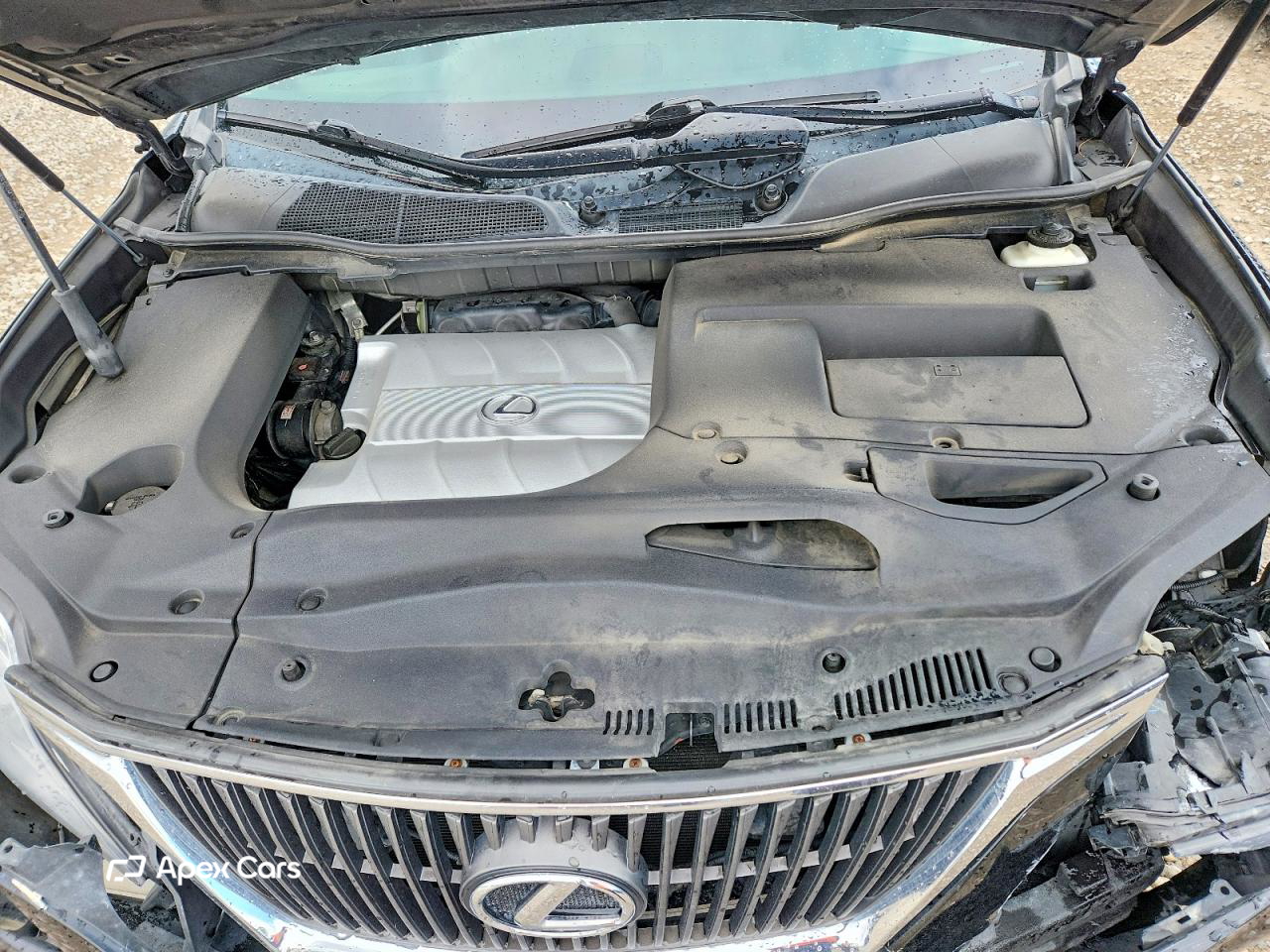 Lexus RX 2010