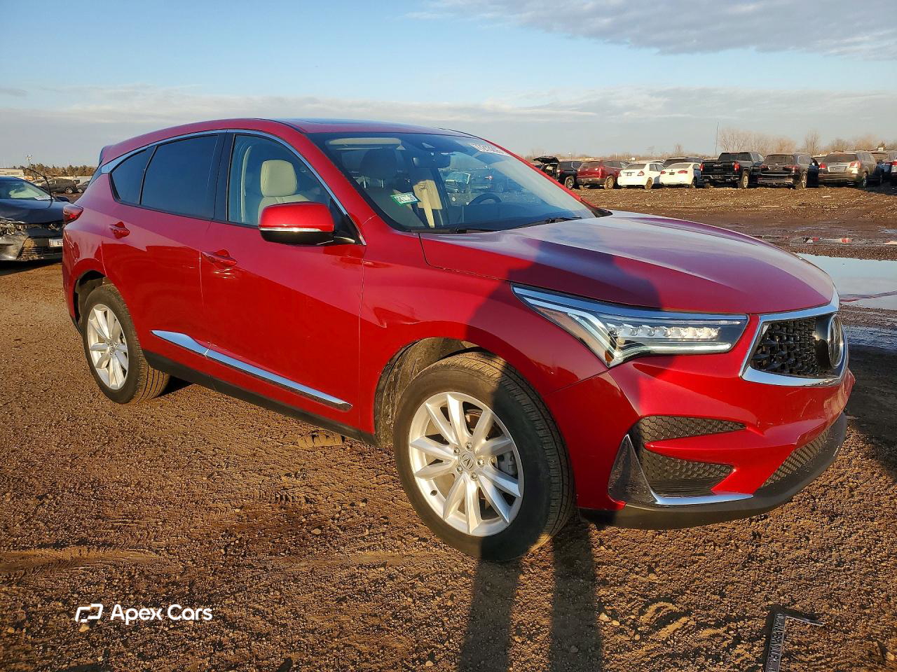 Acura RDX 2021