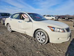 Honda Accord 2010