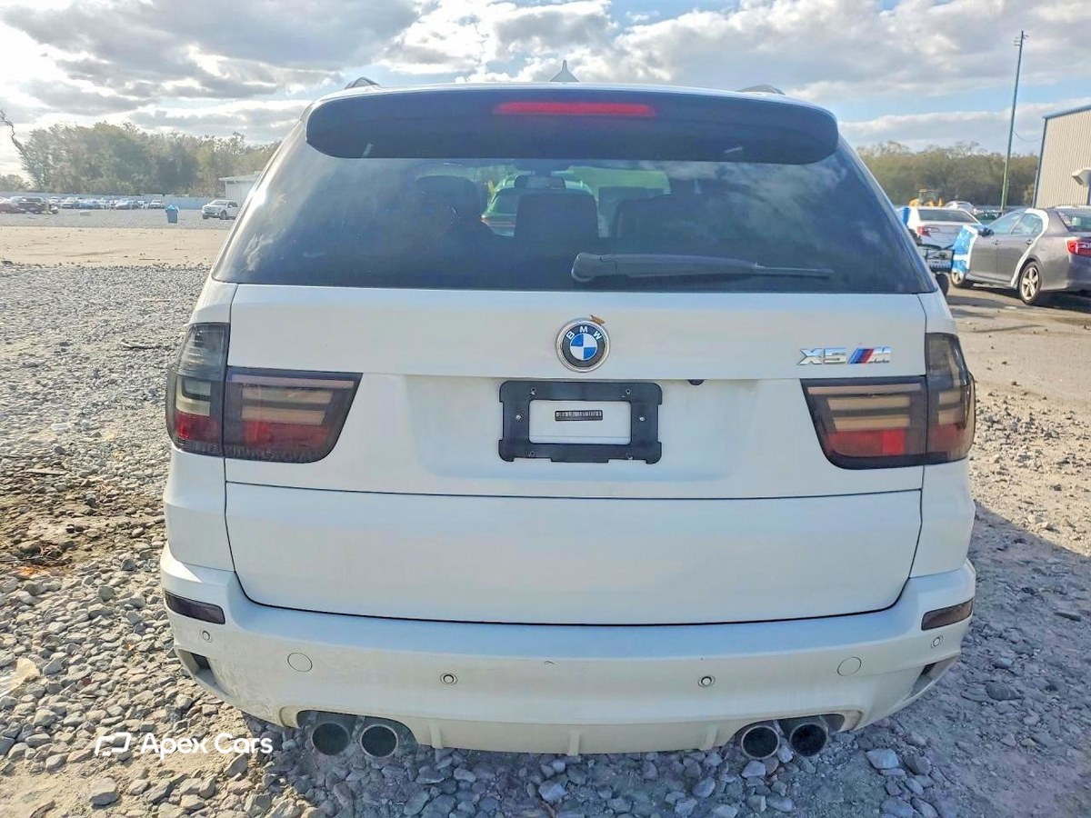 BMW X5 2010